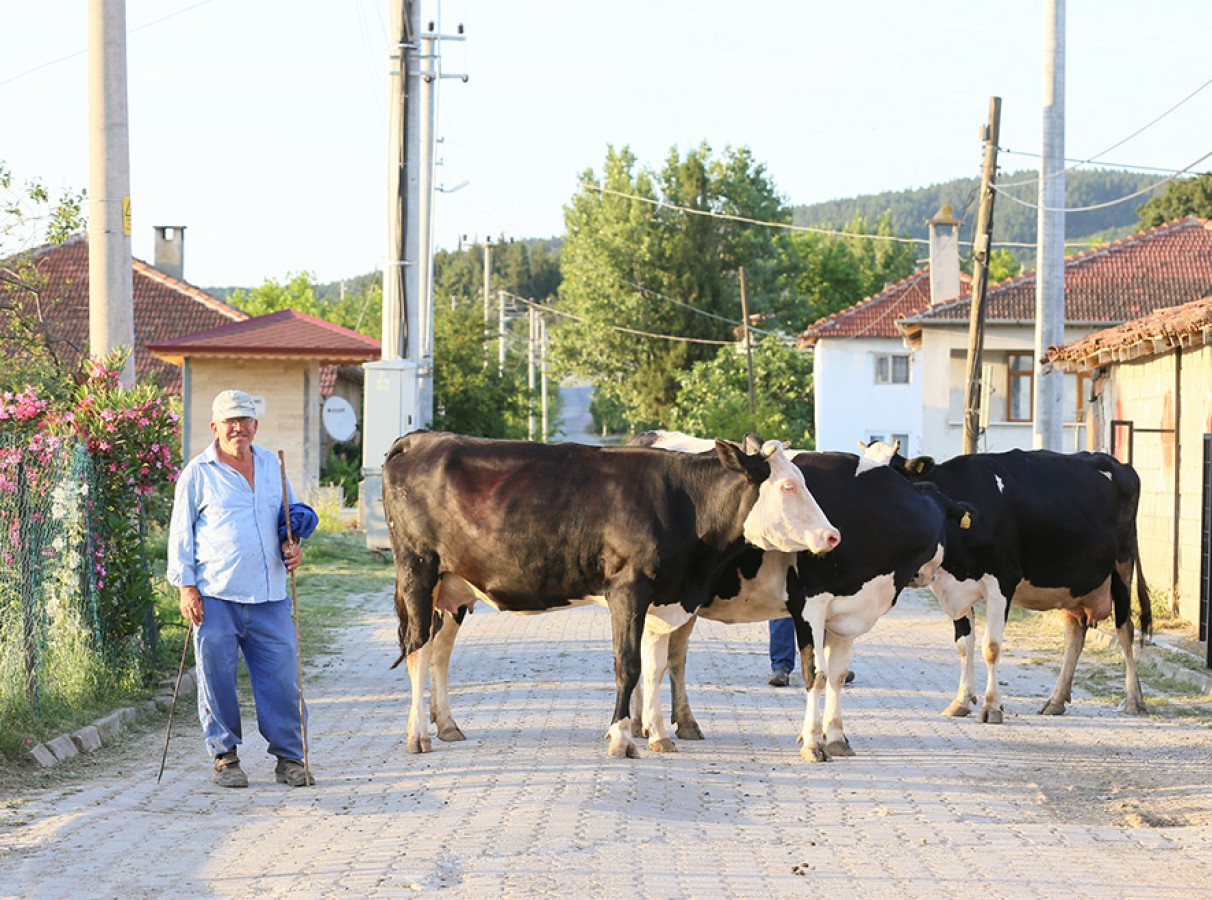 İHSANİYE KÖYÜ